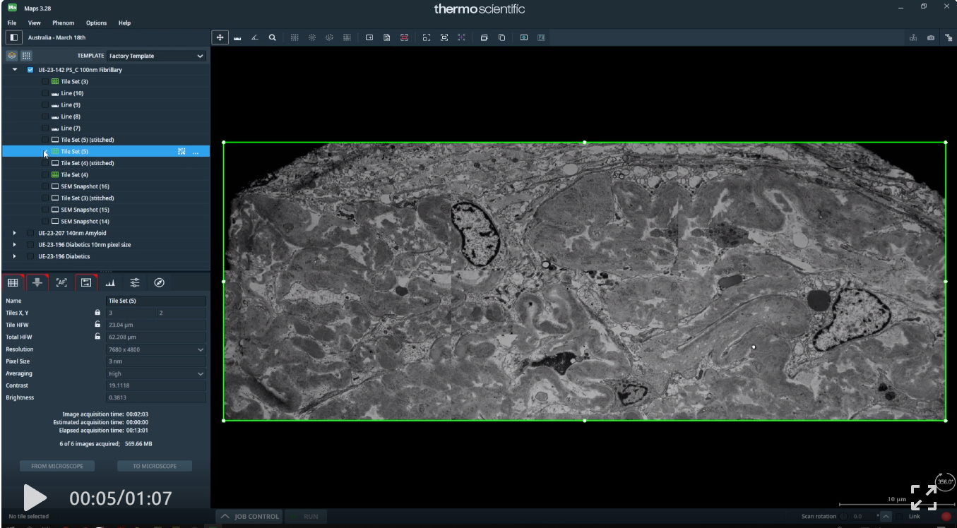 不同视角 SEM 表征与数据分析—飞纳电镜 MAPS 开启科学新视界