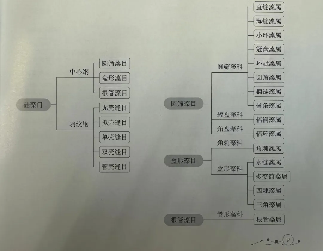 昆明盘龙江硅藻研究：基于飞纳台式扫描电镜的硅藻全自动检测系统